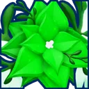 Shiny Heavenly Poinsettia