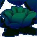 Shiny Lonely Rose