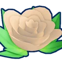 Shiny Lovely Rose