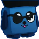 Shiny Pirate Doggy