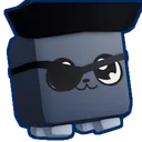 Shiny Pirate Kitty