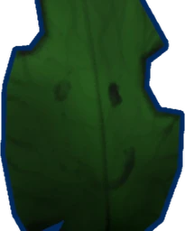 Shiny Random Leaf