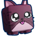 Shiny Rigby