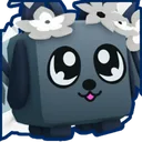 Shiny Spring Duality