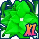 Shiny XL Heavenly Poinsettia