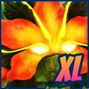 Shiny XL Hibiscia