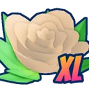 Shiny XL Lovely Rose