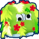 Shrubbery