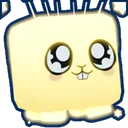 Starry Bunny