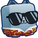 Summer Kitty