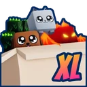 XL BGS Box