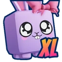 XL Bow Bunny