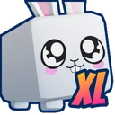 XL Bunnnny