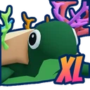 XL Coral Turtle
