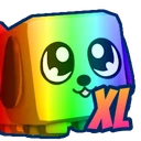 XL Rainbow Dogcat