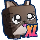 XL Rigby