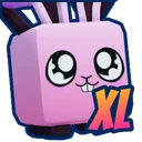 XL Sakura Bunny