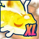 XL Serendipity