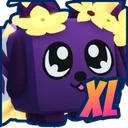 XL Spring Duality