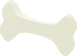 Bone