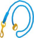 Dog Leash
