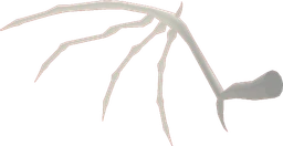 Dragon Wing Bone