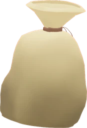 Money Sack