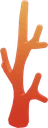 Orange Coral