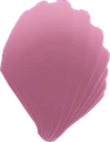 Seashell