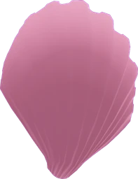 Seashell