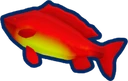 Ashen Carp