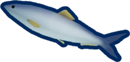 Atlantic Herring