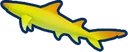Blaze Shark