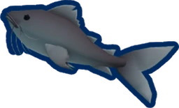 Catfish