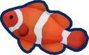 Clownfish