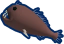 Common Fangtooth