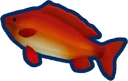 Coral Carp