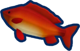 Coral Carp