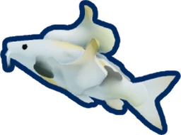 Golden Koi
