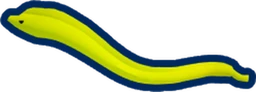 Green Moray Eel