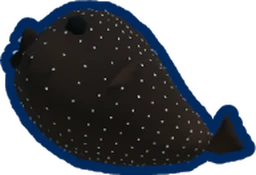 Guineafowl Pufferfish