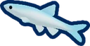 Ice Minnow