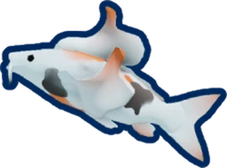 Koromo Koi