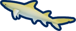 Lemon Shark