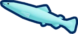 Marine Loach