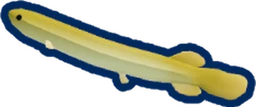 Mudfish