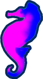 Mystic Seahorse