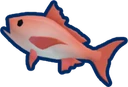 Northern Red Snapper
