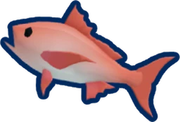 Northern Red Snapper