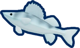 Pale Perch